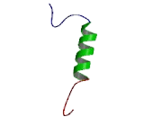 Cholinergic Receptor, Nicotinic, Beta 2 (CHRNb2)