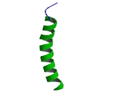 Cholinergic Receptor, Nicotinic, Beta 3 (CHRNb3)