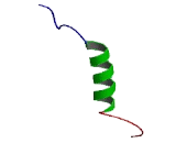 Cholinergic Receptor, Nicotinic, Epsilon (CHRNe)