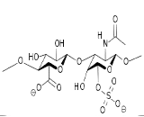 Chondroitin Sulfate (CS)