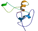 Chondrosarcoma Associated Gene 1 (CSAG1)