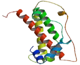 Chorionic Somatomammotropin Hormone 2 (CSH2)