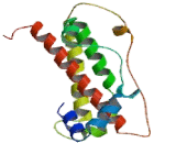 Chorionic Somatomammotropin Hormone Like Protein 1 (CSHL1)