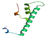 Chromatin Accessibility Complex 1 (CHRAC1)