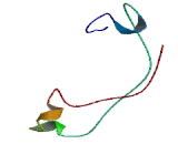 Chromatin Assembly Factor 1, Subunit B (CHAF1B)