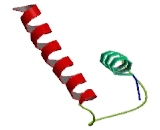 Chromatin Modifying Protein 1B (CHMP1B)