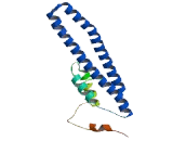 Chromatin Modifying Protein 2A (CHMP2A)