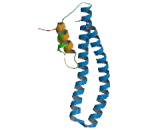 Chromatin Modifying Protein 2B (CHMP2B)