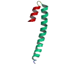 Chromatin Modifying Protein 5 (CHMP5)