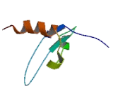 Chromobox Homolog 4 (CBX4)