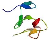 Chromodomain Helicase DNA Binding Protein 3 (CHD3)