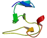 Chromodomain Helicase DNA Binding Protein 5 (CHD5)