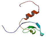 Chromodomain Protein, Y Like Protein 2 (CDYL2)