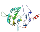 Chromosome 1 Open Reading Frame 106 (C1orf106)