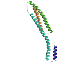 Chromosome 1 Open Reading Frame 109 (C1orf109)