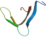 Chromosome 1 Open Reading Frame 111 (C1orf111)