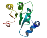 Chromosome 1 Open Reading Frame 115 (C1orf115)