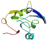 Chromosome 1 Open Reading Frame 122 (C1orf122)