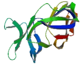 Chromosome 1 Open Reading Frame 123 (C1orf123)