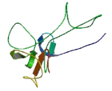 SprT Like N-Terminal Domain Containing Protein (SPRTN)