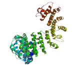 Maestro Heat Like Repeat Containing Protein Family Member 9 (MROH9)