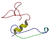 Chromosome 1 Open Reading Frame 134 (C1or<b>f134</b>)