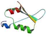 Aurora Kinase A And Ninein Interacting Protein (AUNIP)