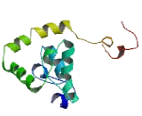 ADAMTSL4 Antisense Gene Protein 1 (ADAMTSL4-AS1)