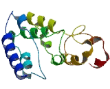 SUZ Domain Containing Protein 1 (SZRD1)