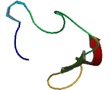 Chromosome 1 Open Reading Frame 146 (C1orf146)