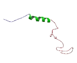 Chromosome 1 Open Reading Frame 147 (C1orf147)