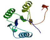 Chromosome 1 Open Reading Frame 158 (C1orf158)