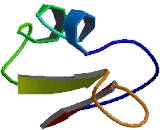 Chromosome 1 Open Reading Frame 159 (C1orf159)