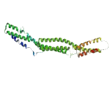 Chromosome 1 Open Reading Frame 168 (C1orf168)