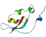 Keratinocyte Differentiation Factor 1 (KDF1)