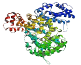 Glutamate Rich Protein 3 (ERICH3)