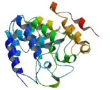 Family With Sequence Similarity 212, Member B (FAM212B)