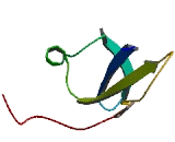 Chromosome 1 Open Reading Frame 186 (C1orf186)