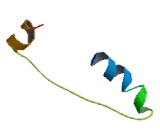 SSBP3 Antisense Gene Protein 1 (SSBP3-AS1)