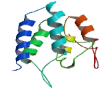 Chromosome 1 Open Reading Frame 196 (C1orf196)