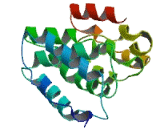 Chromosome 1 Open Reading Frame 198 (C1or<b>f198</b>)