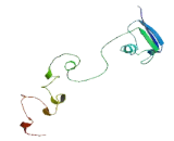 ADORA2A Antisense Gene Protein 1 (PIK3CD-AS1)