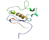 ZNF436 Antisense Gene Protein 1 (ZNF436-AS1)