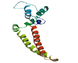 Chromosome 1 Open Reading Frame 226 (C1orf226)