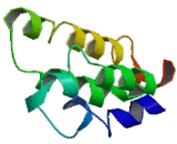 Spermatogenesis Associated Protein 45 (SPATA45)