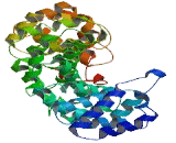 Chromosome 1 Open Reading Frame 228 (C1orf228)