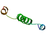 Cytochrome C Oxidase Assembly Factor 6 Homolog (COA6)