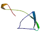 Thymocyte Expressed Molecule Involved In Selection 2 (THEMIS2)