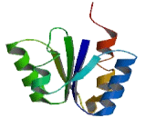 HCV NS5A Transactivated Protein 4 (NS5ATP4)