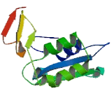 Testis Expressed Protein 35 (TEX35)